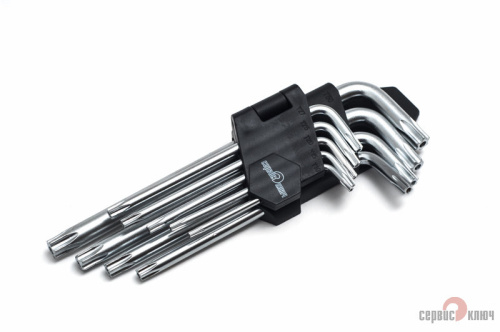 Набор Г-обр. звездочек TORX с отверстием на конце (9 предметов)  PROFFI 76435