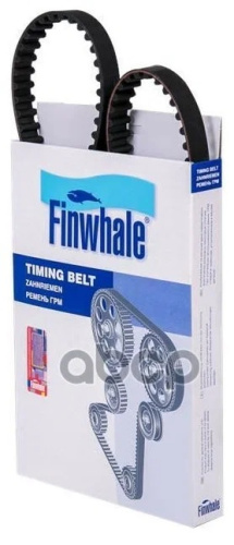 BD111x17  FINWHALE