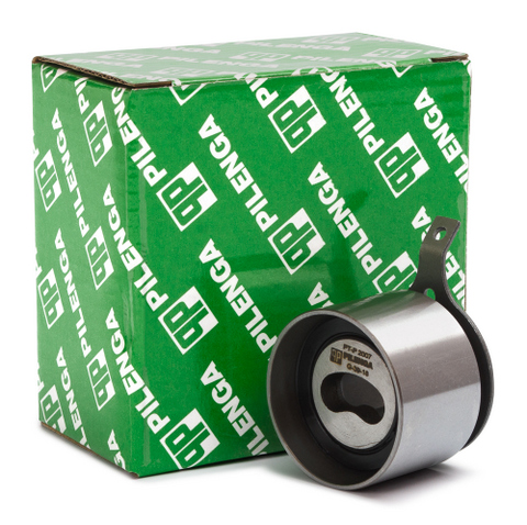 PT-P 2007