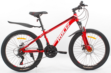 ROLIZ 24-602