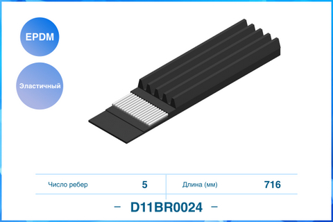 D11BR0024