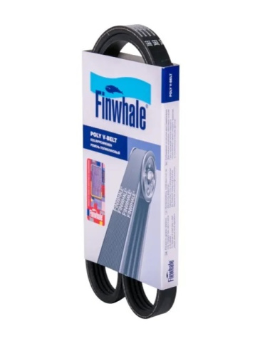 BP4PK970 FINWHALE