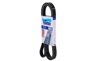 BP6PK955 FINWHALE