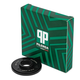 PW-P 4020