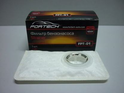 FPT-01