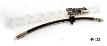 HV123 b