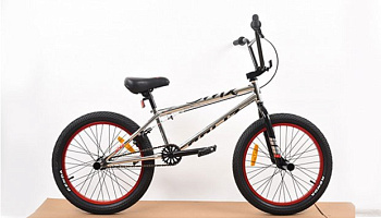 Велосипед  ROLIZ 20-113 UV серебристый BMX