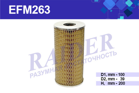 EFM263