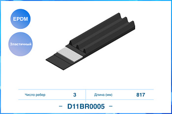 D11BR0005