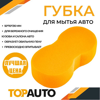 гпв