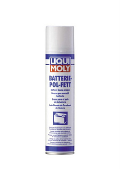 3141.jpg