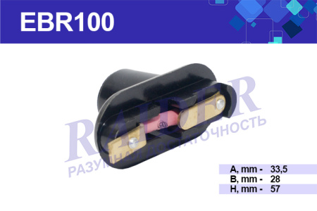 EBR100