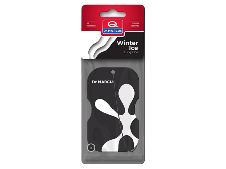Winter Ice