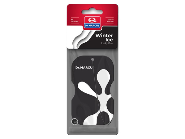 Winter Ice