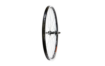 629