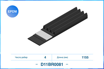 D11BR0081