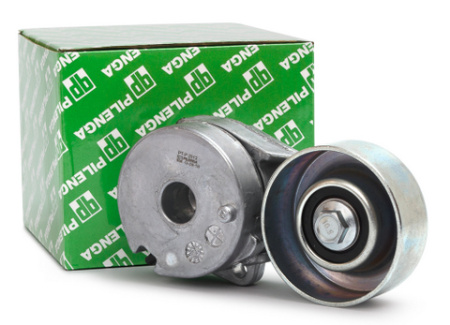 PT-P 2012