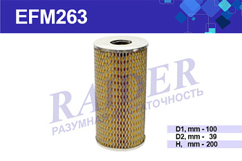 EFM263