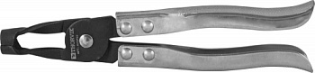 AVSP25_1