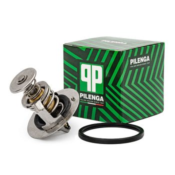 TT-P 4006
