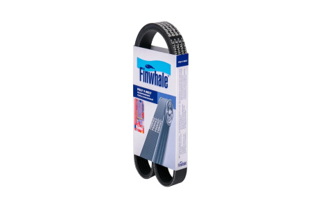 BP6PK950 FINWHALE