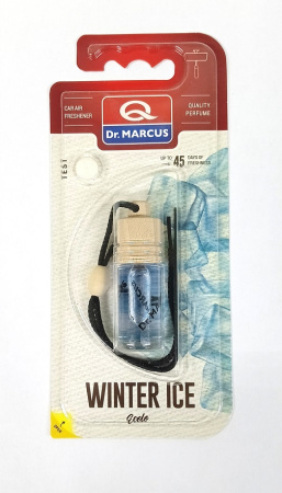 Winter Ice
