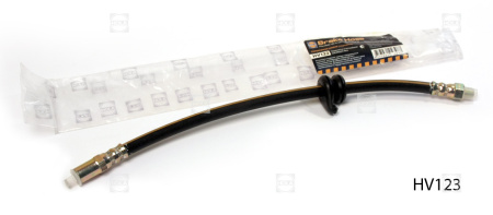 HV123 b